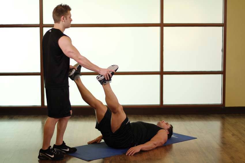 Adductor/Groin 2