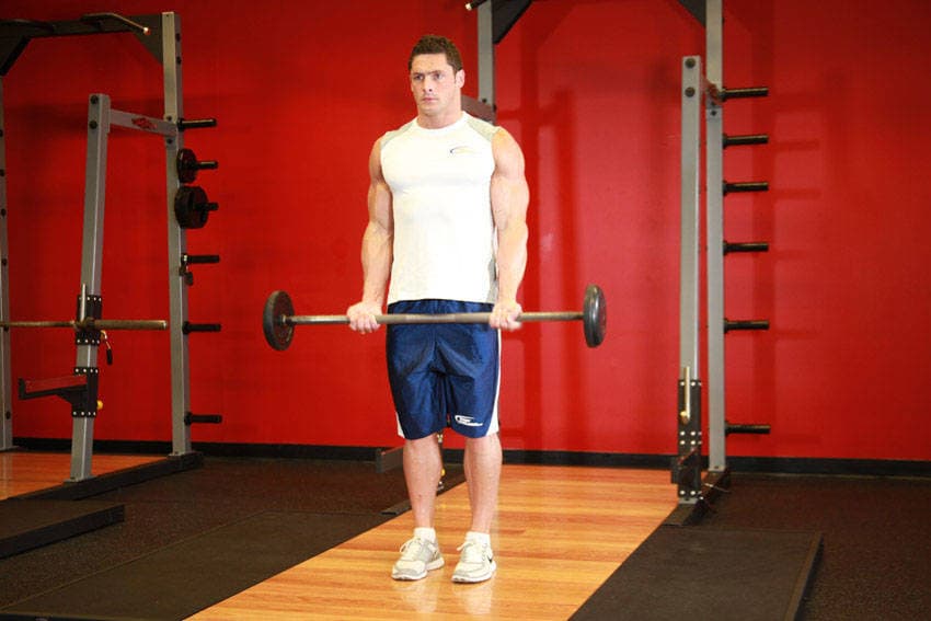 Barbell Curl 1