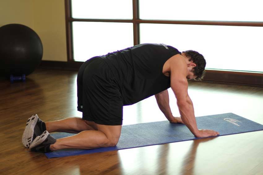 All Fours Quad Stretch 1