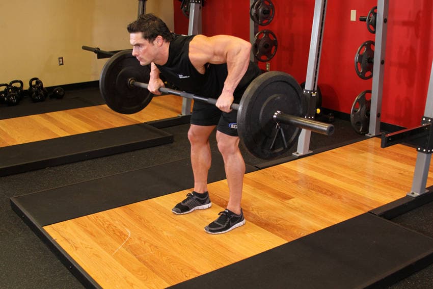 Barbell Rear Delt Row — النهاية