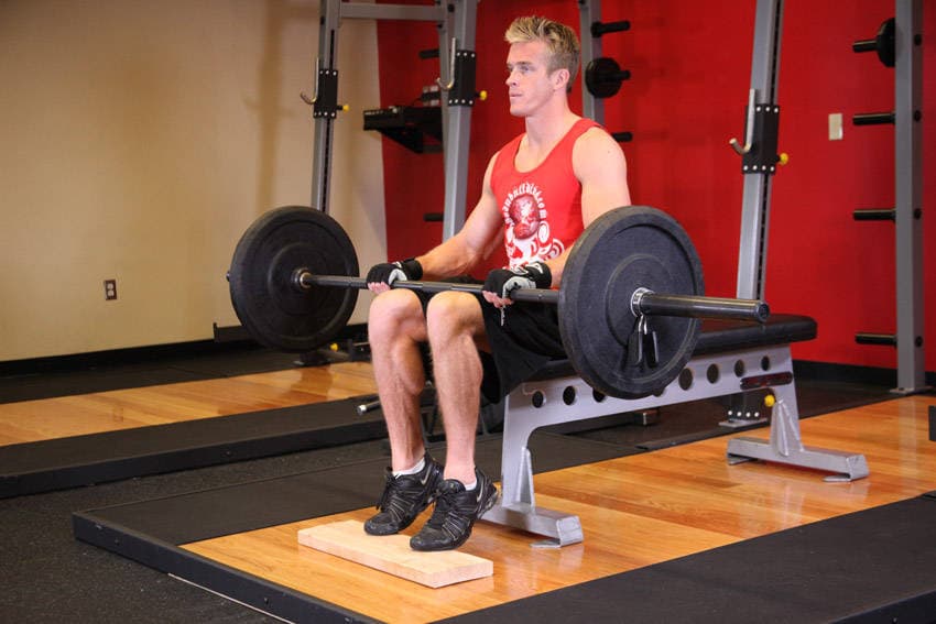 Barbell Seated Calf Raise — النهاية
