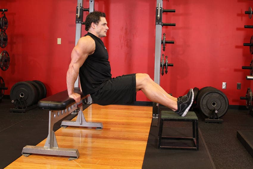 Bench Dips — البداية