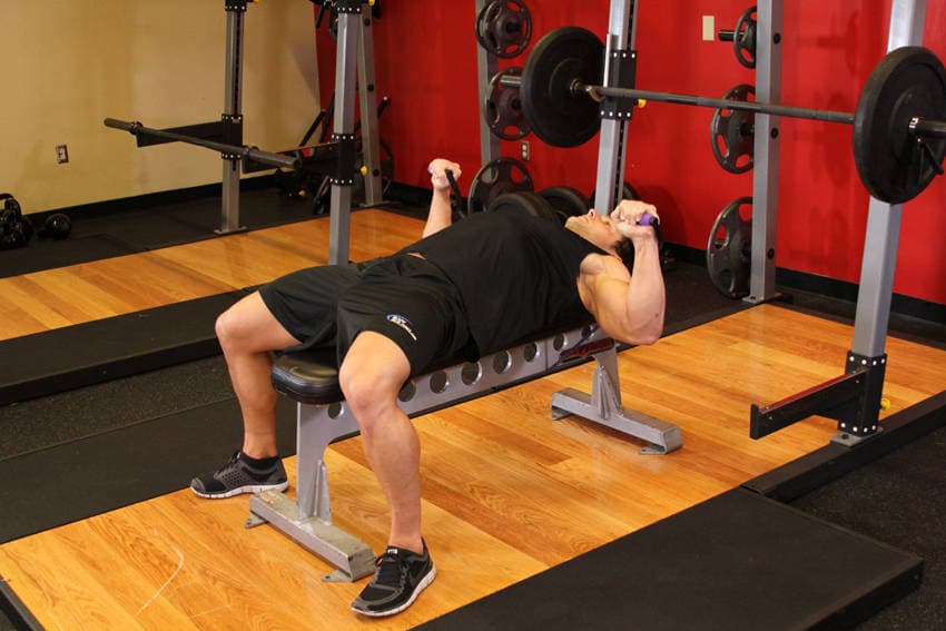 Bench Press - With Bands — البداية