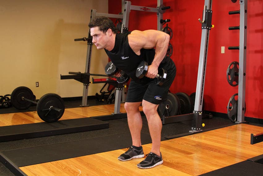 Bent Over Two-Dumbbell Row — النهاية