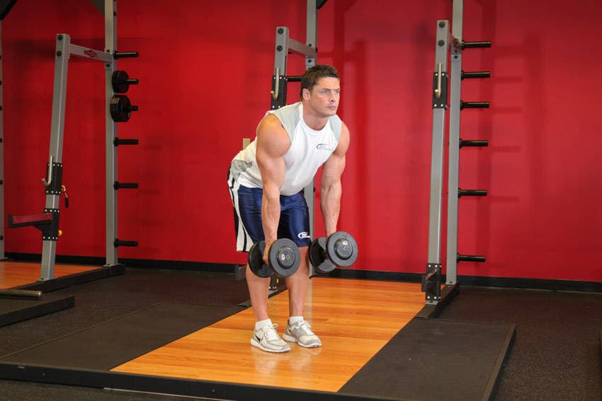 Bent Over Two-Dumbbell Row With Palms In — البداية
