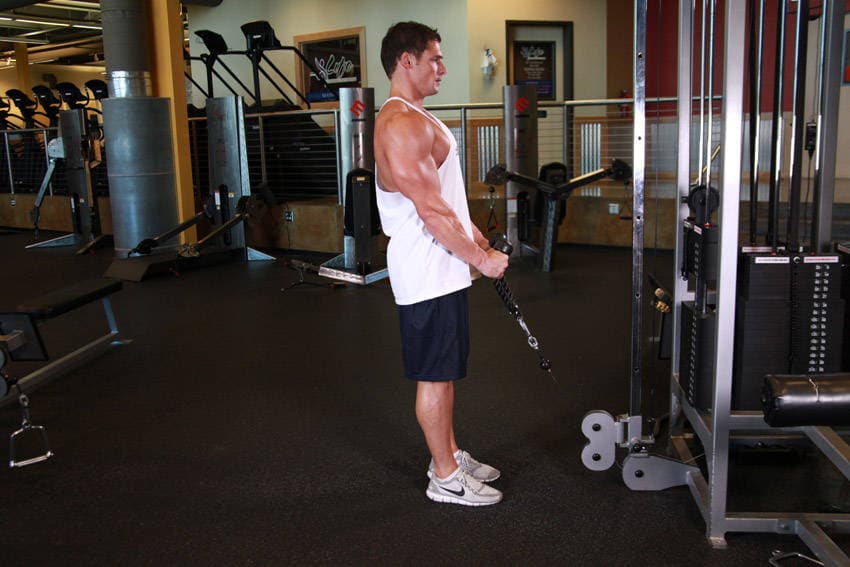 Cable Hammer Curls - Rope Attachment — البداية