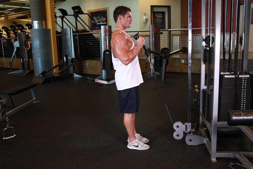 Cable Hammer Curls - Rope Attachment — النهاية
