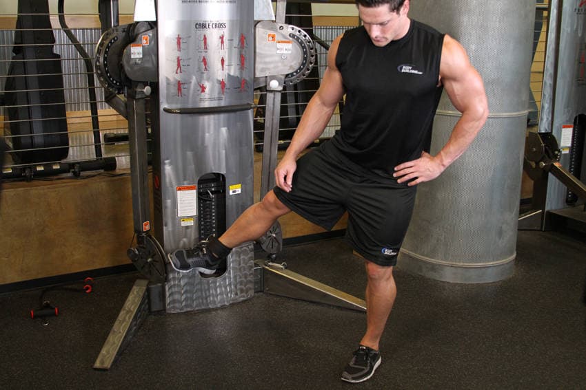 Cable Hip Adduction — البداية