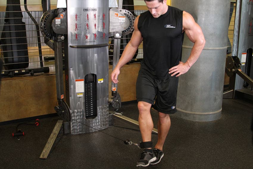 Cable Hip Adduction — النهاية