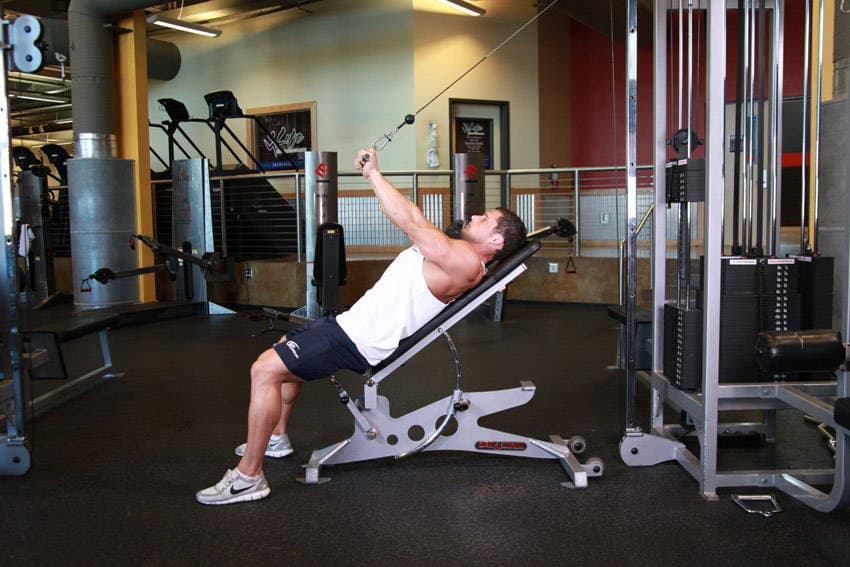 Cable Incline Triceps Extension — النهاية