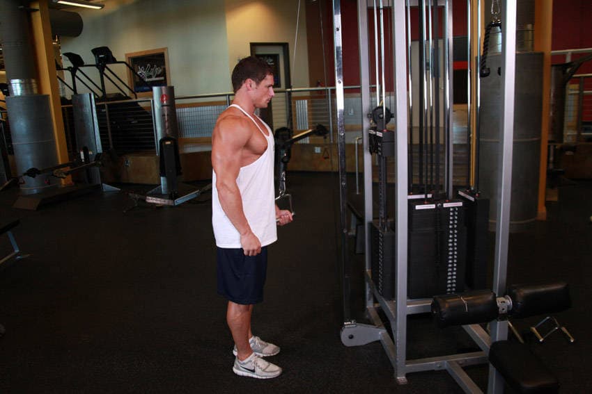 Cable One Arm Tricep Extension — البداية