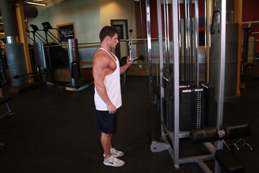 Cable One Arm Tricep Extension — النهاية