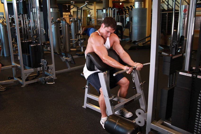 Cable Preacher Curl — البداية
