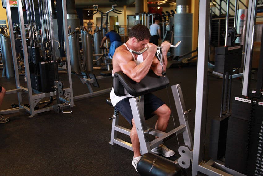 Cable Preacher Curl — النهاية