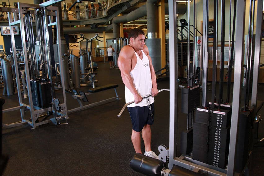 Cable Shrugs — النهاية