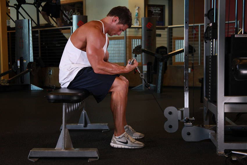 Cable Wrist Curl — النهاية