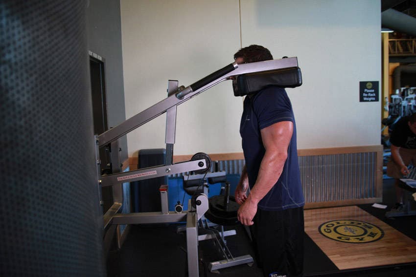 Calf-Machine Shoulder Shrug — النهاية