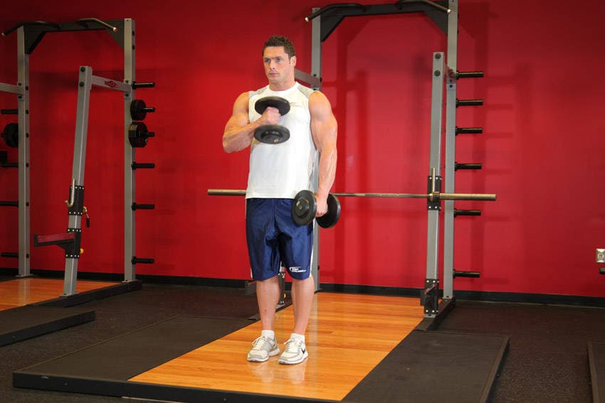 Cross Body Hammer Curl — البداية