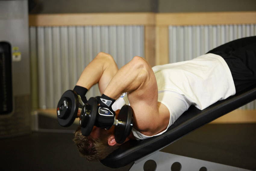 Decline Dumbbell Triceps Extension — النهاية