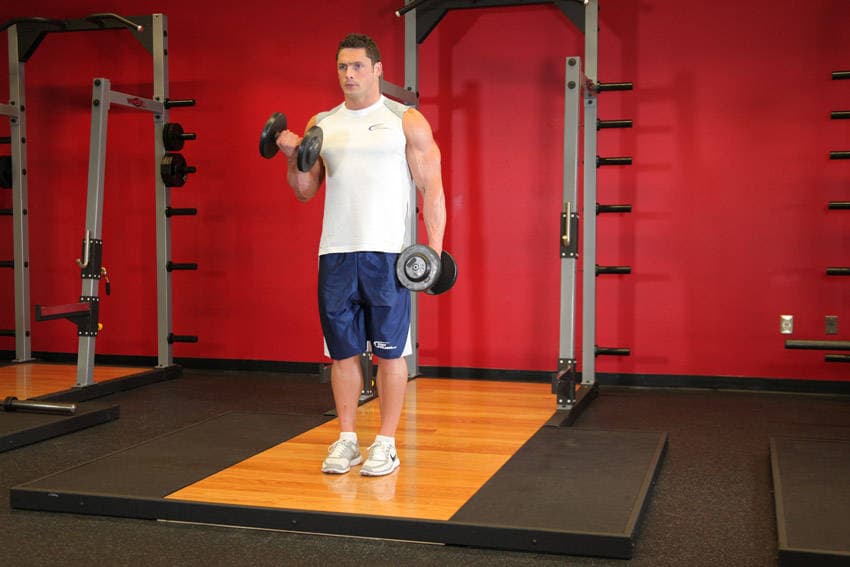 Dumbbell Alternate Bicep Curl — البداية