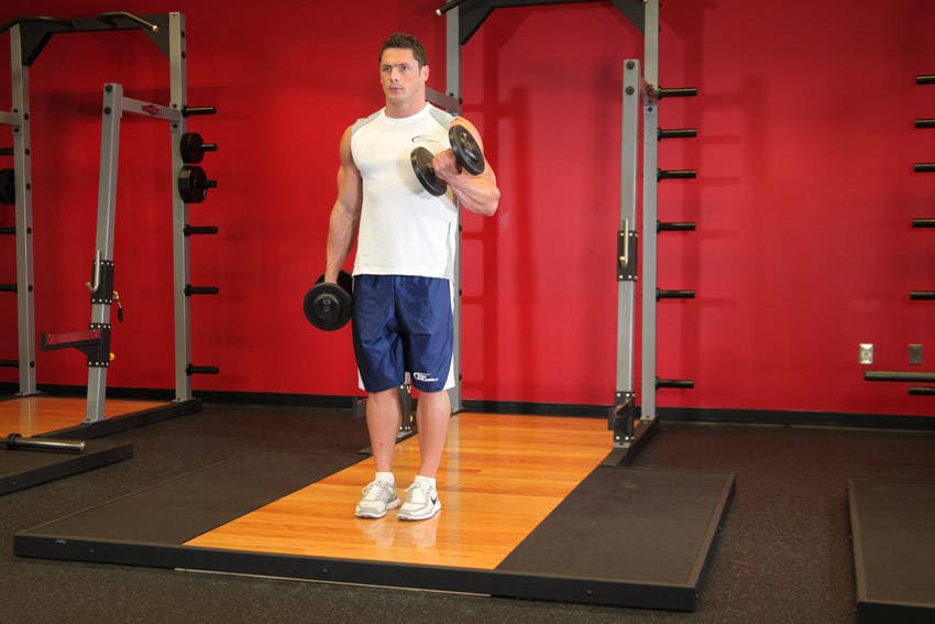 Dumbbell Alternate Bicep Curl — النهاية