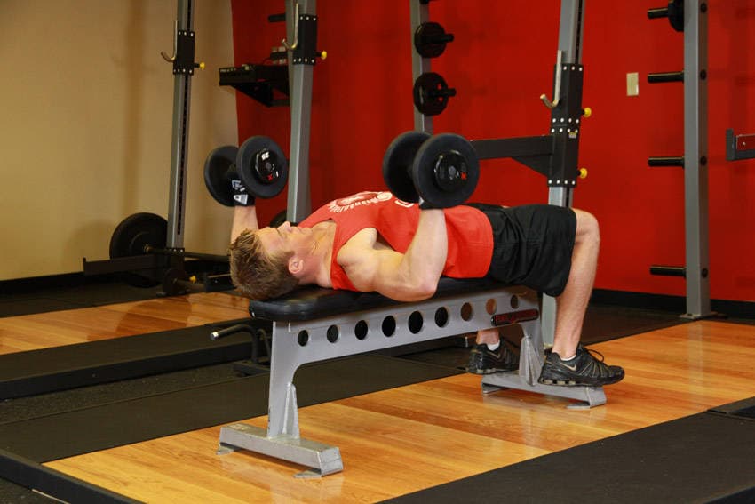 Dumbbell Bench Press — البداية