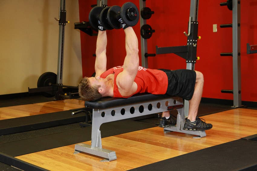 Dumbbell Bench Press — النهاية