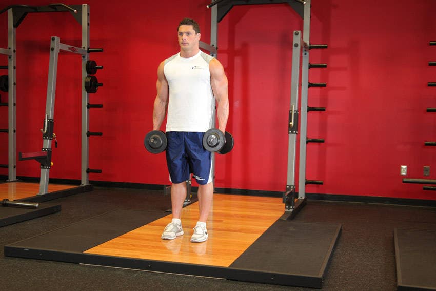 Dumbbell Bicep Curl — البداية