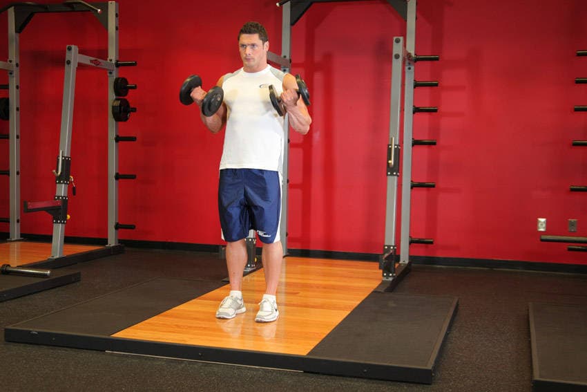 Dumbbell Bicep Curl — النهاية