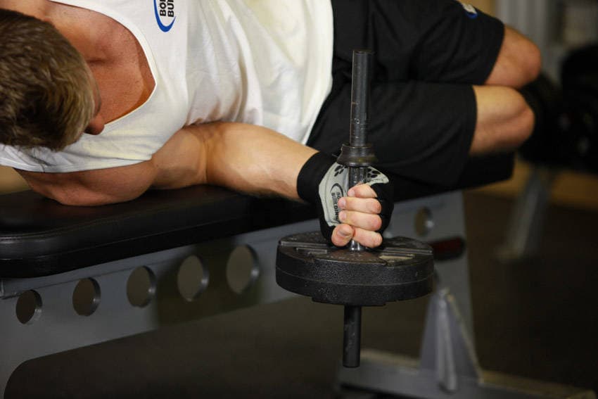 Dumbbell Lying Pronation — البداية