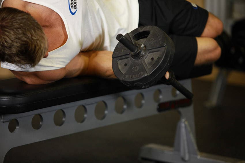 Dumbbell Lying Pronation — النهاية