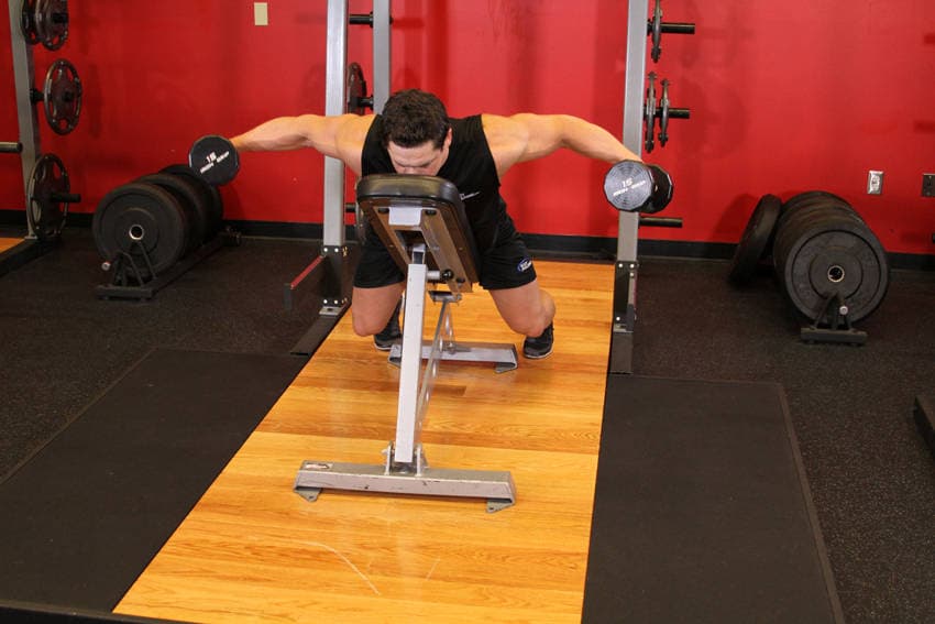 Dumbbell Lying Rear Lateral Raise — النهاية