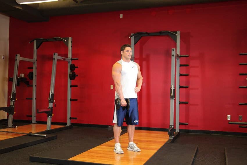 Dumbbell One-Arm Upright Row — النهاية