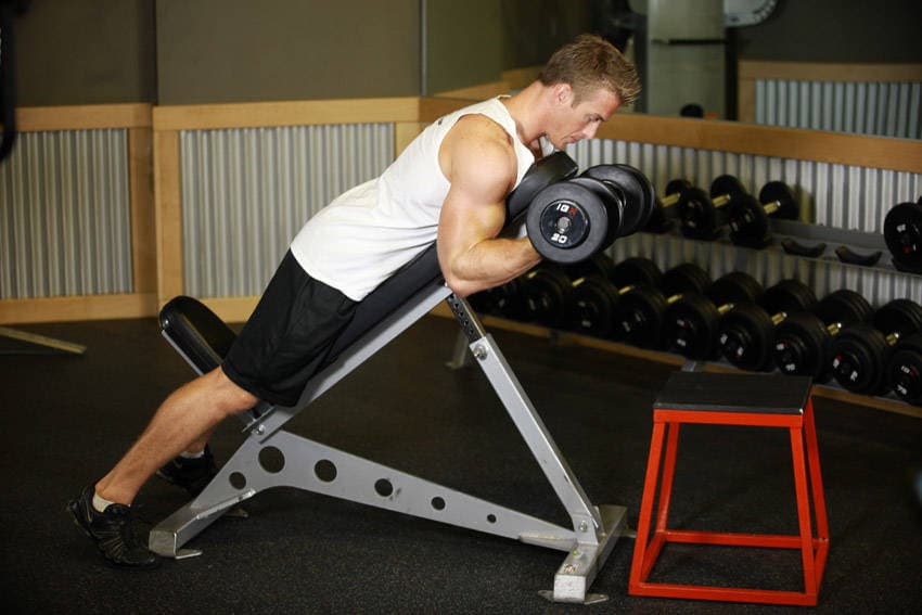 Dumbbell Prone Incline Curl — البداية