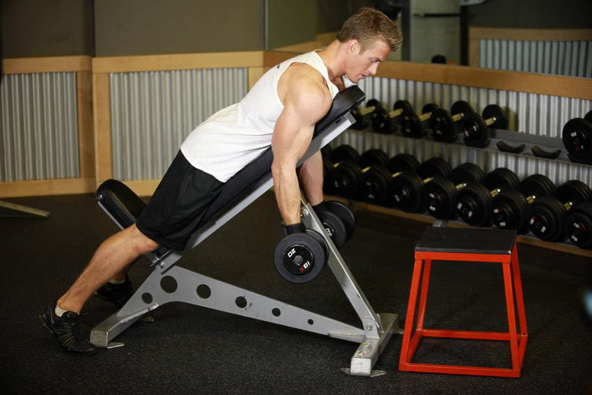 Dumbbell Prone Incline Curl — النهاية