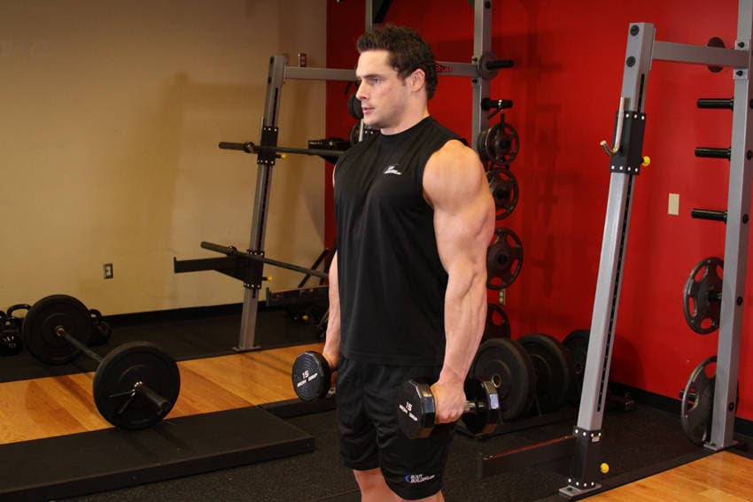 Dumbbell Raise — البداية