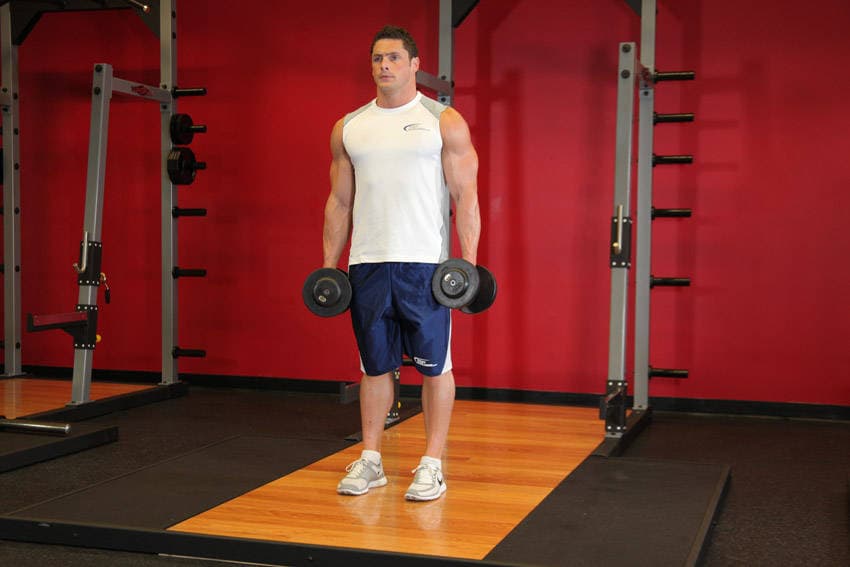 Dumbbell Rear Lunge — البداية