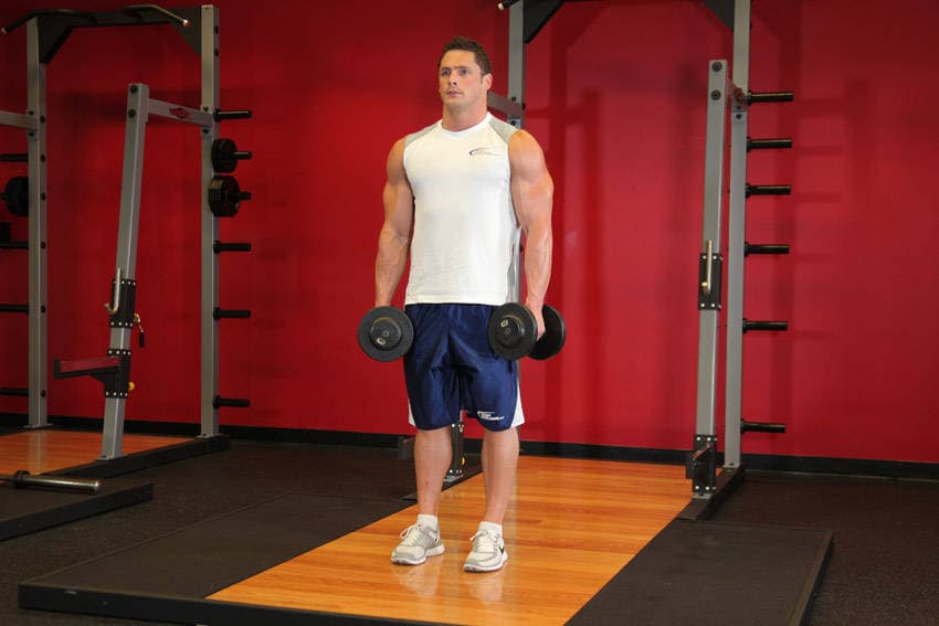 Dumbbell Shrug — البداية