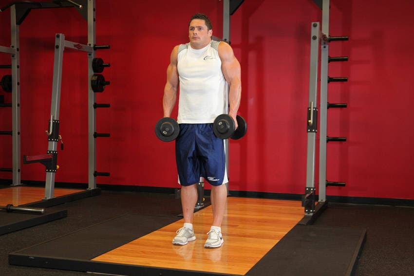 Dumbbell Shrug — النهاية