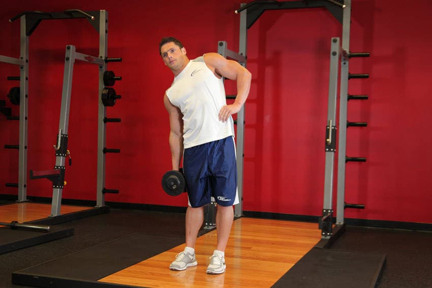 Dumbbell Side Bend — البداية