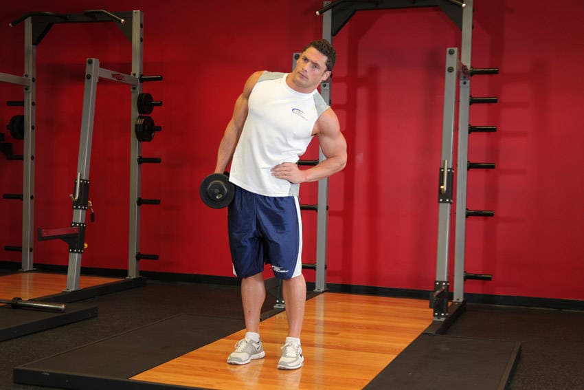Dumbbell Side Bend — النهاية