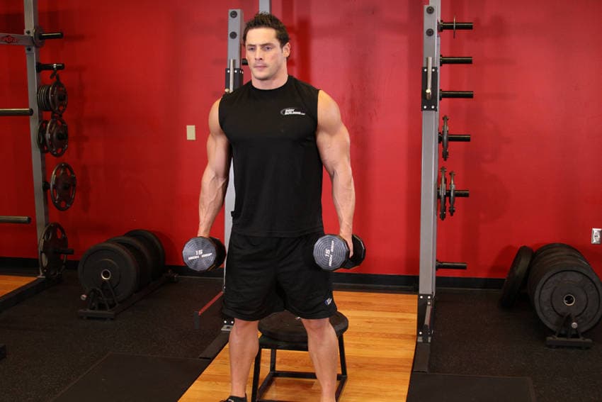 Dumbbell Squat To A Bench — البداية