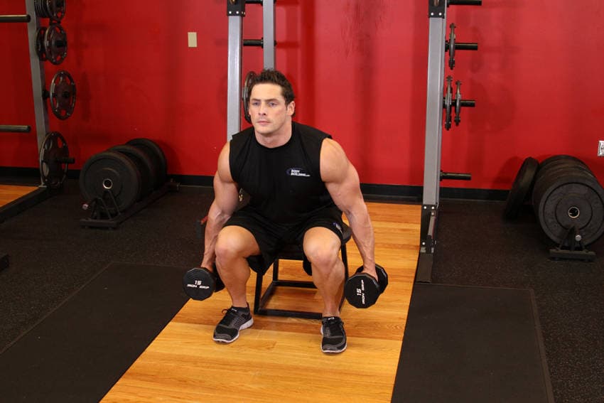 Dumbbell Squat To A Bench — النهاية