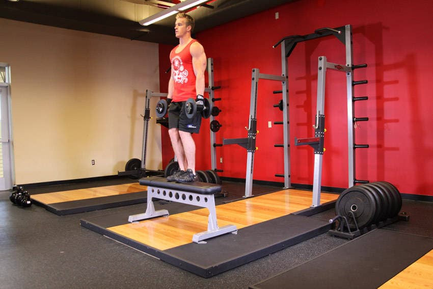 Dumbbell Step Ups — البداية
