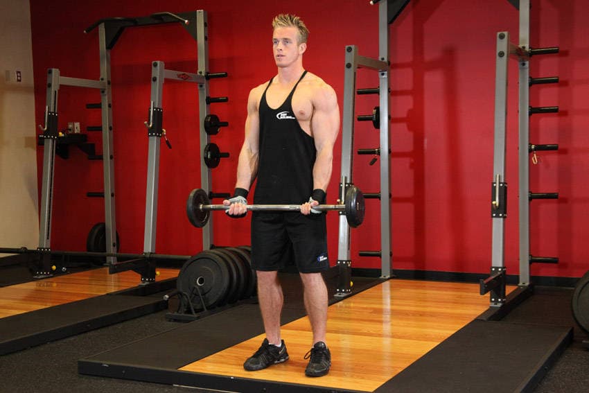 EZ-Bar Curl — البداية