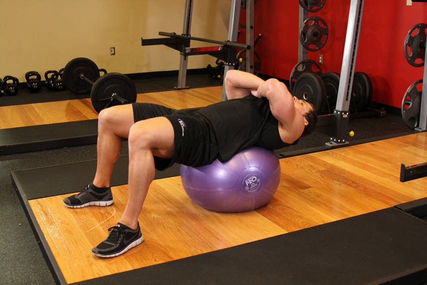 Exercise Ball Crunch — البداية