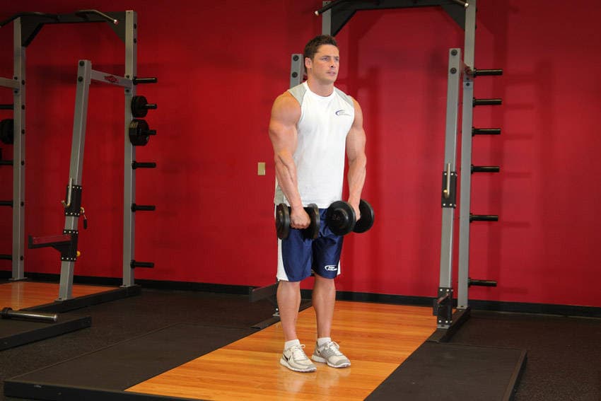 Front Dumbbell Raise — البداية