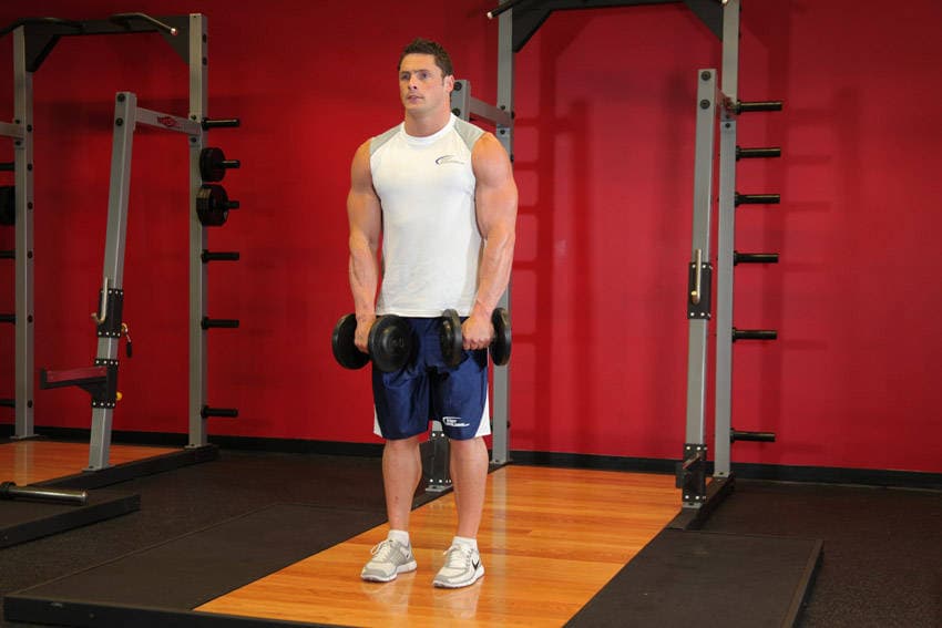 Front Two-Dumbbell Raise — البداية