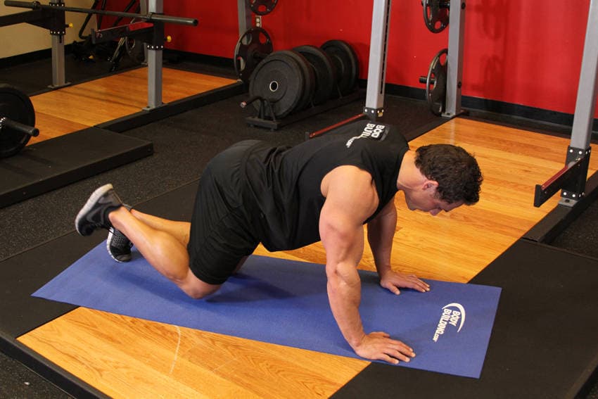 Glute Kickback — البداية