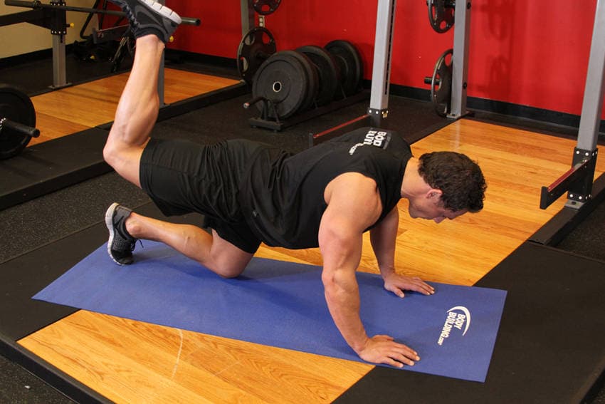 Glute Kickback — النهاية